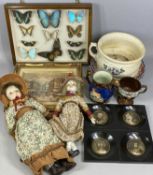 GROUP OF COLLECTABLES including glazed cased containing exotic butterflies, 31 x 41cms, LUCKMAN (