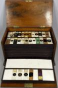MAHOGANY SPECIMEN CASE with lift up lid and fall front, containing 24 trays of prepared microscope