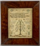 GEORGE III NEEDLEWORK SAMPLER, with verse, 'Adam & Eve whilst innocent, in paradise were placed, but