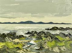 MARTIN LLEWELLYN (Contemporary) oil on canvas - entitled verso 'Rocky Coastline, a low tide',
