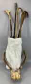 COLLECTION OF WALKING STICKS, pair of deer antlers with skull mount, contained in a large white