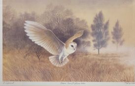 PHILIP SNOW (English b.1947) artist proof print - 'Barn Owl/Tyllian Wen', signed in pencil, 37 x
