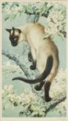 CHARLES FREDERICK TUNNICLIFFE coloured print - Siamese cat on a branch of apple blossom, signed in