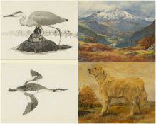 MANNER OF C. F. TUNNICLIFFE oil on canvas - study of Golden Retriever, bears signature, 49 x