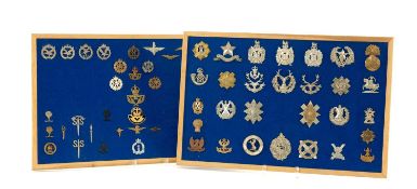THE MILTARY CLUB HOUSE: REGIMENTAL BADGES comprising cap badges, lapel pins etc, mounted on blue
