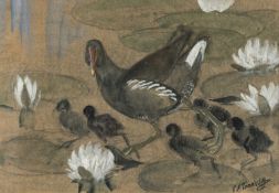 ‡ CHARLES FREDERICK TUNNICLIFFE RA OBE (English, worked Wales 1901-1979) mixed media - moorhen