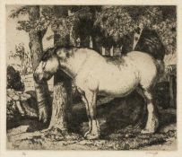 ‡ CHARLES FREDERICK TUNNICLIFFE RA OBE (English, worked Wales 1901-1979) 1927 limited edition (23/