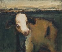 ‡ WILL ROBERTS (Welsh 1907-2000) oil on canvas – white faced calf, signed with initials, 25 x