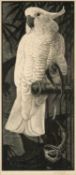 ‡ CHARLES FREDERICK TUNNICLIFFE RA OBE (English, worked Wales 1901-1979) wood engraving - 'Cockatoo'
