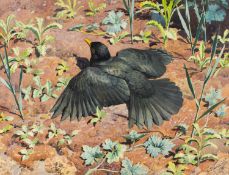 ‡ CHARLES FREDERICK TUNNICLIFFE RA OBE (English, worked Wales 1901-1979) watercolour - 'Blackbird