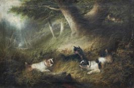 GEORGE ARMFIELD (English 1808-1893) oil on canvas - terriers at a rabbit hole, with red scarf to the