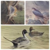 PHILIP SNOW (British b.1947) limited edition prints (3) - bird of prey perched on rock (109/850),