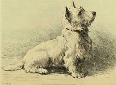 HERBERT DICKSEE (English 1862 - 1942) etching - 'A West Highlander', initialled and dated 1930,