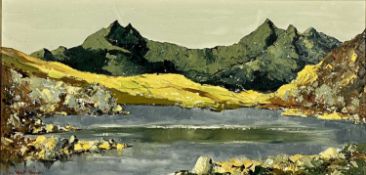 CHARLES WYATT WARREN (Welsh 1908 - 1993) oil on board - titled verso 'Snowdon from Llyn Mymbyr,