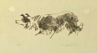 SIR KYFFIN WILLIAMS RA (Welsh 1918 - 2016) artist's proof print - working sheepdog, 25.5 x 46cms