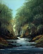 ‡ D. ROBERTS (British 20th century) oil on board - river gorge, probably Betws-y-Coed, signed