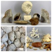 ASSORTMENT OF MINERALS & FOSSILS including cast model of ammonite on stand, 34cms (h), various