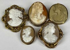 COLLECTION OF FIVE OVAL CAMEO PORTRAIT BROOCHES in gold plated mounts Provenance: private collection
