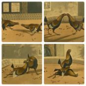 AFTER H. ALKEN four colour engravings – cockfighting entitled ‘Set Too’, ‘Fight’, ‘Throat’ and ‘