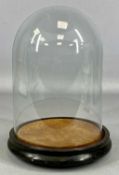 GLASS DOME WITH EBONISED PLINTH, 26cms (h), 15.5cms (diam.) Provenance: private collection Conwy