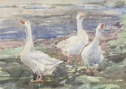 ‡ JUNE CRAWSHAW BWS SWA (British b.1936) watercolour - a gaggle of geese at water's edge, fully