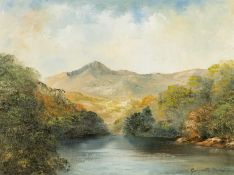 ‡ GWYNETH ap TOMOS (Welsh 1937-2016) oil on canvas - Eryri scene with river, signed, 29 x 39cms