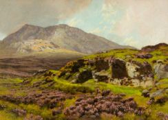 ALFRED OLIVER (English lived Wales 1868 - 1943) oil on board - entitled verso 'Moel Siabod from