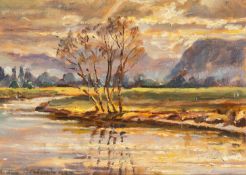 ‡ HEATHER CRAIGMILE (British lived Wales b. 1925) oil on canvas - landscape scene with flowing