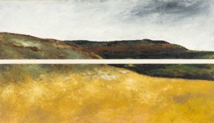 ‡ ESTHER ECKLEY (Welsh b.1977) oil on board - entitled verso, 'Brycheiniog', signed verso, 41 x