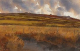 ‡ DAVID TRESS (English lives and works Wales b. 1955) watercolour - landscape believed to depict the