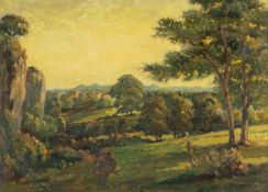 ‡ JOHN FREEMAN (b. 1942) oil on board - landscape with trees, signed and dated '71, 35 x 49cms