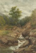 THOMAS SCAIFE (British c. 1900) oil on canvas - upland stream, signed and dated 1905, 46 x 31cms
