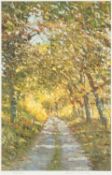 ‡ DAVID T WILLIAMS (Welsh Contemporary) limited edition (101/150) print - a woodland path, fully