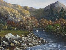 ‡ GWYNETH TOMOS (Welsh 20th century) oil on canvas - mountainous river and bridge, signed lower