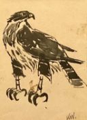 ‡ SIR KYFFIN WILLIAMS OBE RA (Welsh 1918 - 2006) black and white print - hawk, 21 x 15cms