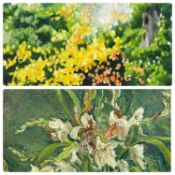 D. J. SAUNDERSON oil on canvas - irises, 50 x 75cms, and IAN COLLETT contemporary oil on board -