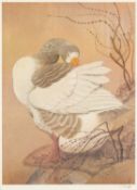 ‡ CHARLES FREDERICK TUNNICLIFFE RA OBE (English, worked Wales 1901-1979) print - Greylag Goose,