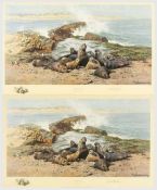 ‡ DAVID SHEPHERD CBE FRSA FGRA (British 1931- 2017) studio stamped limited edition (1182/1500)