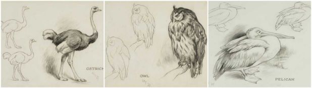 ‡ CHARLES FREDERICK TUNNICLIFFE OBE RA (English, worked Wales 1901-1979) pencil - studies of an