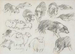‡ ANEURIN JONES (Welsh 1930-2017) collection of pencil sketches - sheepdogs and sheep, signed, 29