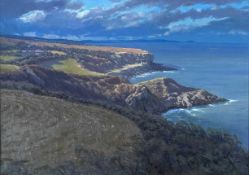 ‡ DAVID WOODFORD (British, lives / works Wales b.1938) oil on board - coastal landscape, signed,