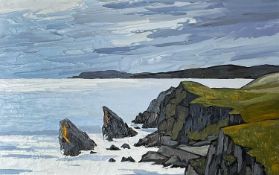‡ DAVID BARNES (British worked / lived Wales 1942-2021) oil on board - rocky coast, signed verso, 34