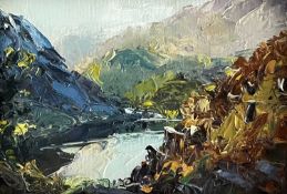 ‡ DAVID GROSVENOR (British, lives Wales b.1956) oil on canvas - entitled verso 'Llyn Dinas' on Oriel