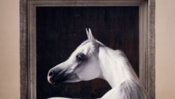 British & European Fine Art