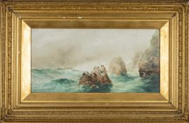 ALEXANDER WILLIAMS RHA (Irish, 1846-1930) watercolour - Cormorants on a rocky shore, probably Achill