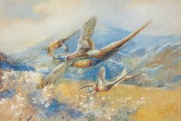WILLIAM SEABOURNE POWELL (British, 1878-1949) watercolour - pheasants in flight, signed and dated '