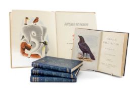 ECKERSLEY (THOMAS) [illustrator] and CABRELLY (E.A.) Animals on Parade. London: Conrad Press