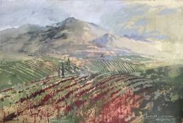 JOHN MACFARLANE (b. 1948) gouache and crayon on board - 'Pyrenees', signed, 31 x 45cms Auctioneer'