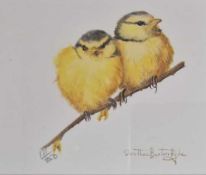 DOROTHEA BUXTON HYDE (b. 1942) three limited edition prints - birds and foxes, signed, each 24 x