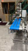 MR Top and Bottom Labeller, with MR labeller heads, new siemens logo control PLC, new buttons and